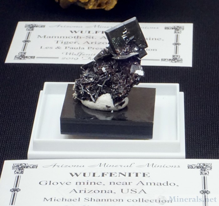Very Rare Black Crystals from the Glove Mine, near Amado, Santa Cruz Co., AZ, Arizona Mineral Minions Case, Michael Shannon Collection