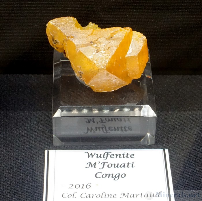 Thick Pyramidal Wulfenite Crystals from M'Fouati, Congo, Caroline Martaud Collection