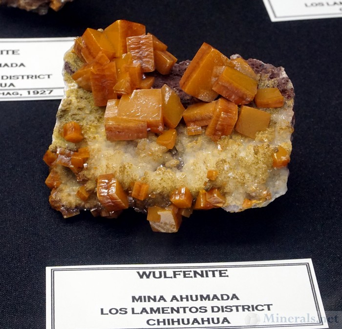 Wulfenite from Mina Ahumada, Lost Lamentos, Chihuahua, Mexico, The Megaw Family