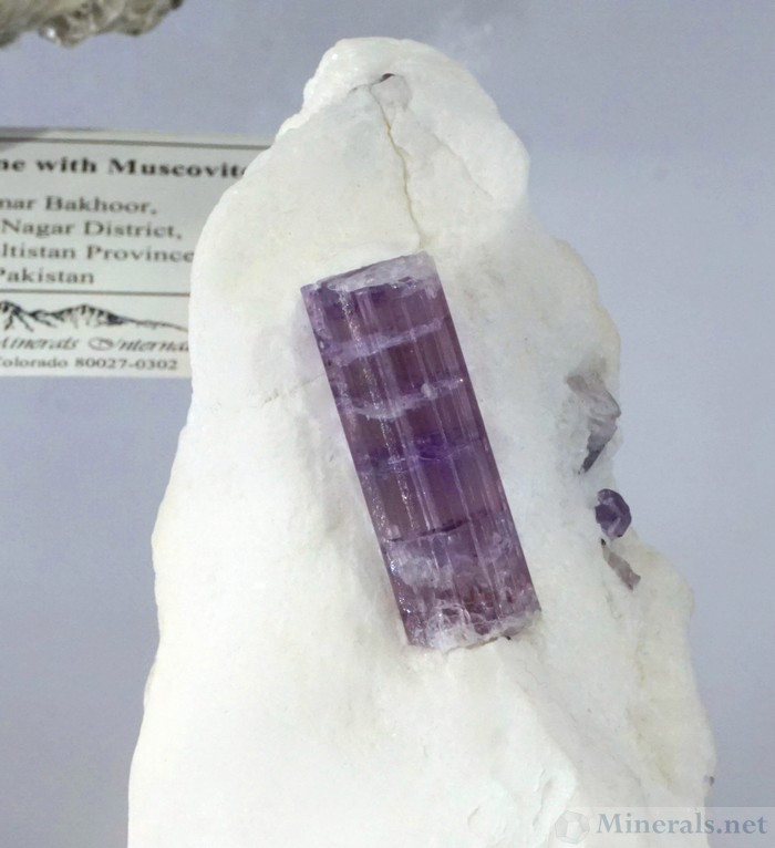 Purple Gemmy Scapolite on Matrix from Fargon Meeru, Kokcha Valley, Badakshan, Afghanistan, Mountain Minerals International