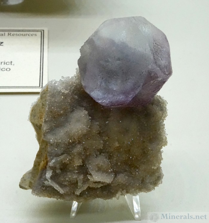 Complex Fluorite Crystal from the Mex-Tex Mine, Hansonburg District, Socorro Co., New Mexico