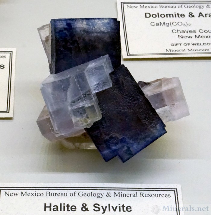 Halite & Sylvite from the Kerr McGee Mine, Carlsbad District, Eddy Co., New Mexico