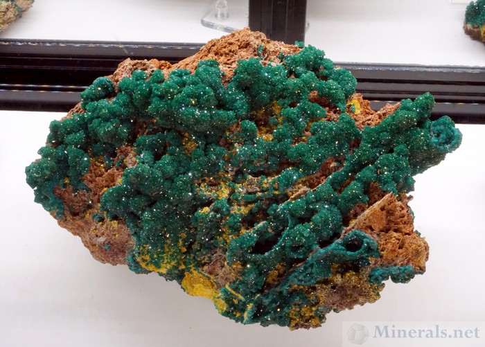 Dioptase with Mimetite from near Mindouli, Pool Dept, Republic of Congo: Weinrich Minerals
