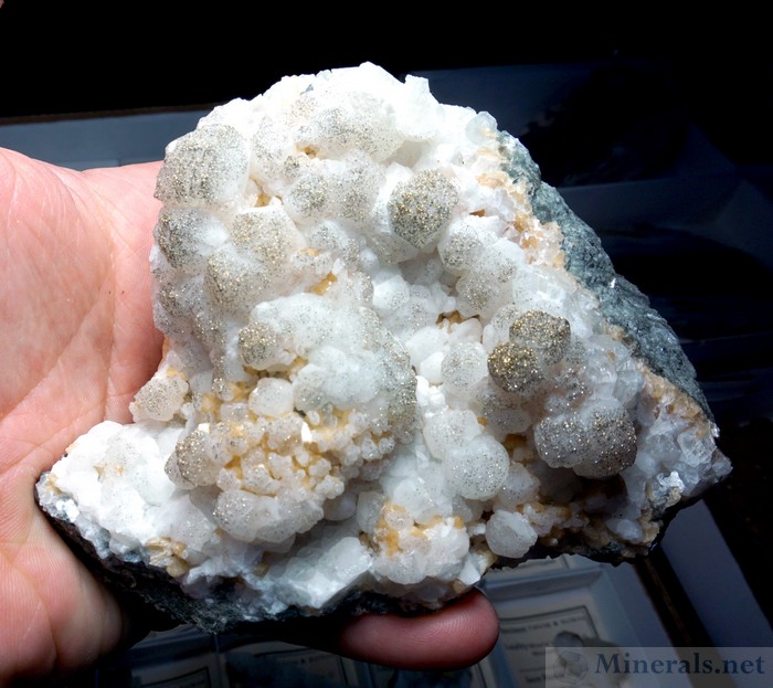 Pyrite Sprinkles on Calcite Mined Summer 2019 at Moore's Station Quarry, Lambertville, Mercer Co., New Jersey: Jay's Minerals