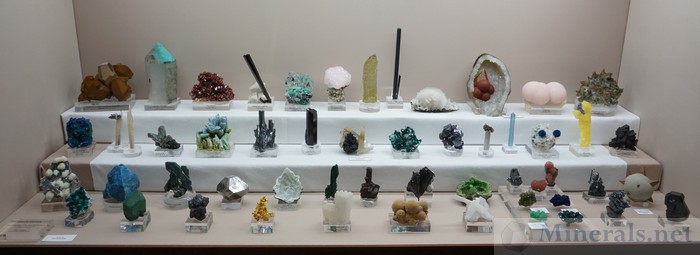 Exceptional Mineral Display - Bruce Carter: Board Member of Rice NW Museum of Rocks and Minerals