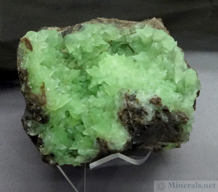 Green Dogtooth Calcite, Colored by Vanadium, on Petrified Wood, from Garfield Co., Utah - Cincinnati Museum Center