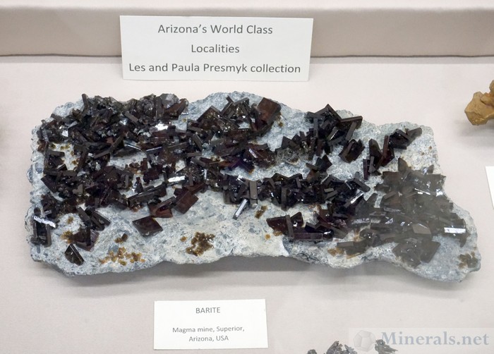 Large Plate of Barite Crystals on Matrix from the Magma Mine, Superior, Arizona - Les and Paula Presmyk Collection