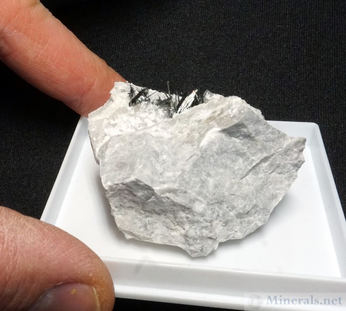 Robinsonite and Rouxelite from Monte Arsiccio Mine, Stazzema, Tuscany, Lithos Minerals