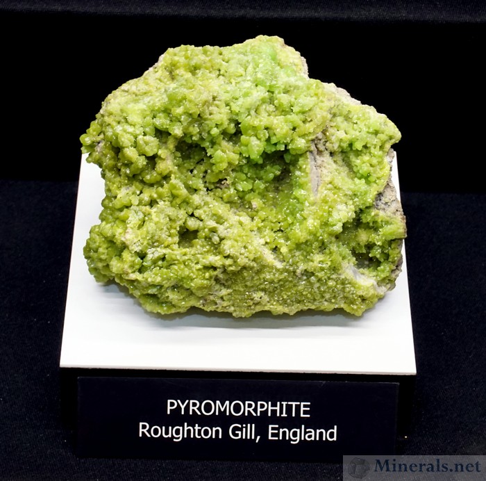 Bright Green Pyromorphite from Roughton Gill, England, Carnegie Museum of Natural History