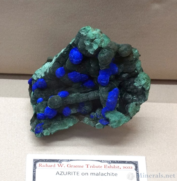 Azurite & Malachite from the Copper Queen Mine, Bisbee, Arizona, Phil Scalisi, Richard W. Graeme Tribute Exhibit