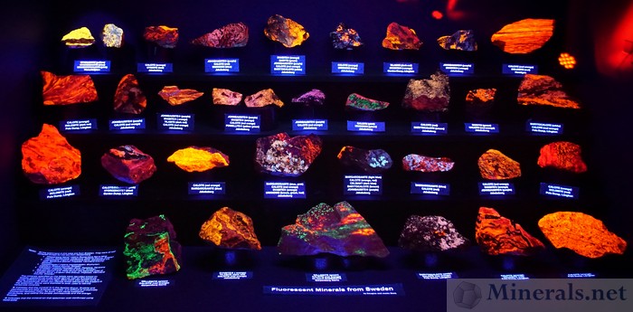Fluorescent Display - The Fluorescent Mineral Society