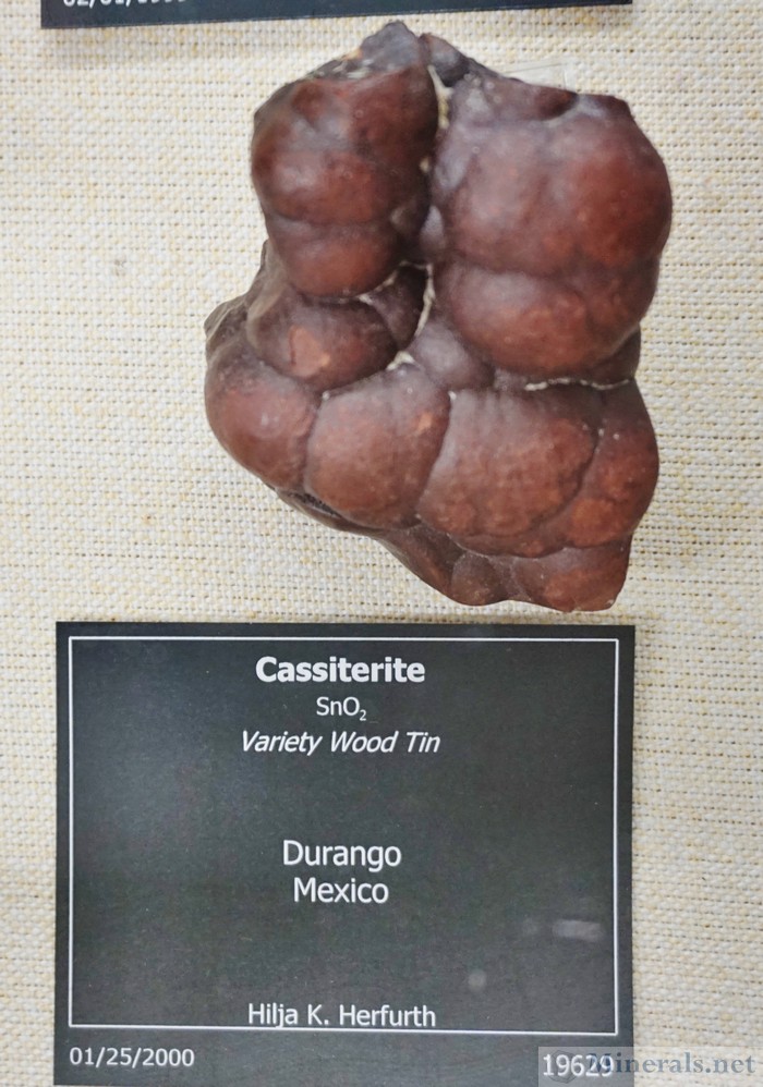 Cassiterite Var. Wood Tin from Durango, Mexico