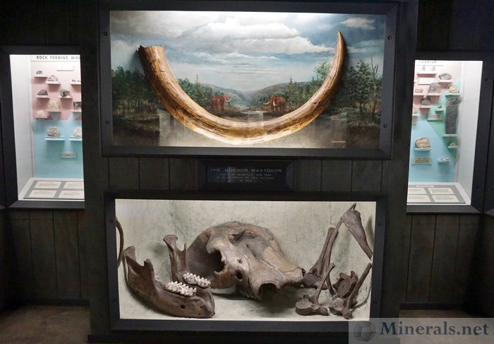 Giant Mastodon Skull Found in the Vicinity