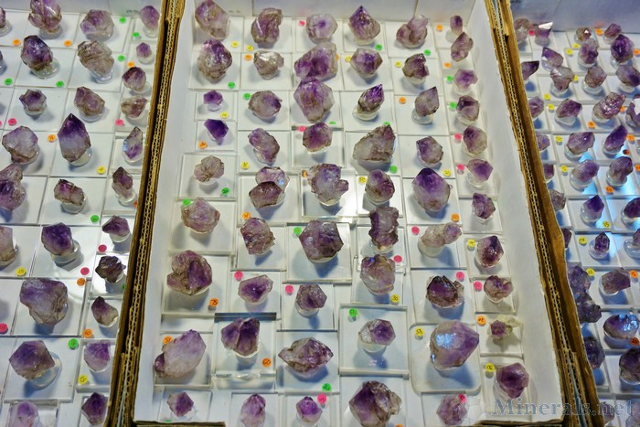 A Close Up of some Good Amethyst Points in the Flats