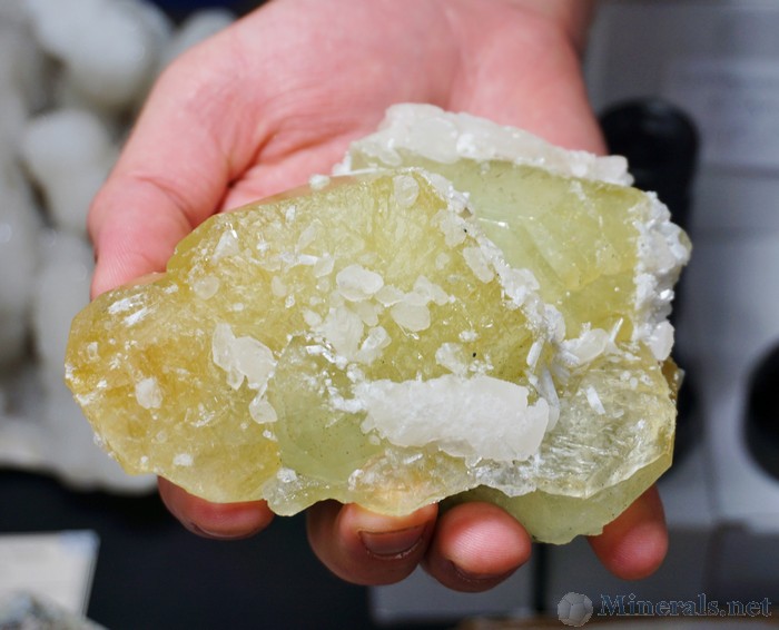 Huge Datolite Crystal from Charcas, St. Luis Potosi, Mexico