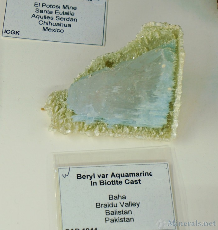 Aquamarine in a Biotite Cast. Beryl in a Pseudomorph Cast is Unusual.
