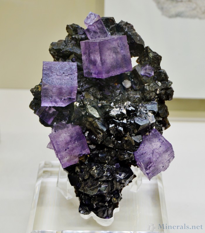Purple Fluorite Cubes from the Elmwood Mine, Carthage, Tennessee