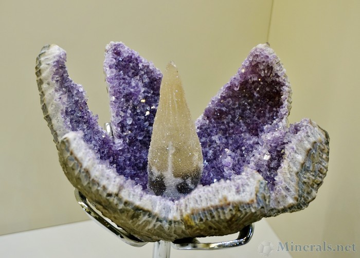 Incredible Calcite Scepter Protruding From an Amethyst Geode, from Artigas, Uruguay