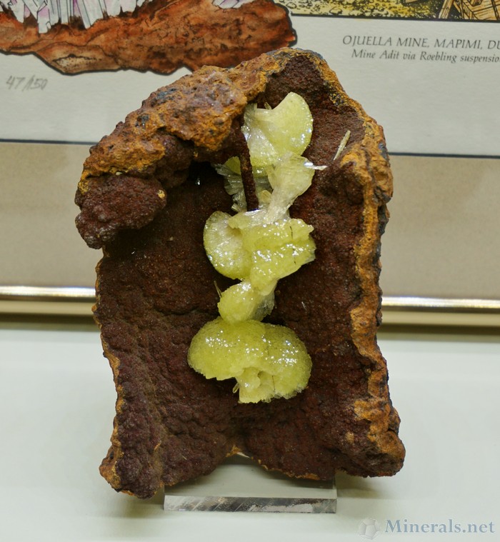 Adamite on Limonite from the Ojuela Mine, Mapimi, Durango, Mexico