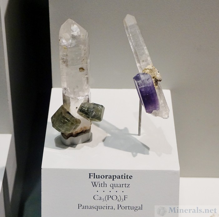Two Fluorapatite Crystals with Quartz from Panasqueira, Portugal