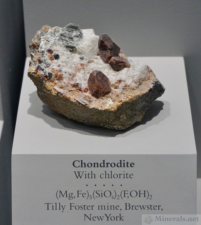 Chondrodite with Chlorite from the Tilly Foster Mine, Brewster, New York