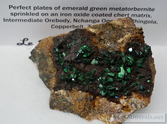 Exceptional Metatorbernite from Nchanga, Chingola Mine, Copperbelt Province, Zambia