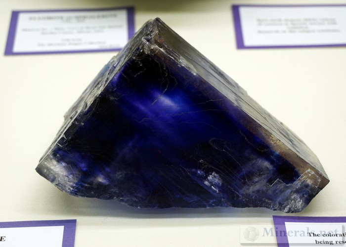 Blue Halite from the Kerr-McGee Mine, Carlsbad Potash District, Eddy Co., New Mexico The Sherman Dugan Museum of Geology at San Juan College