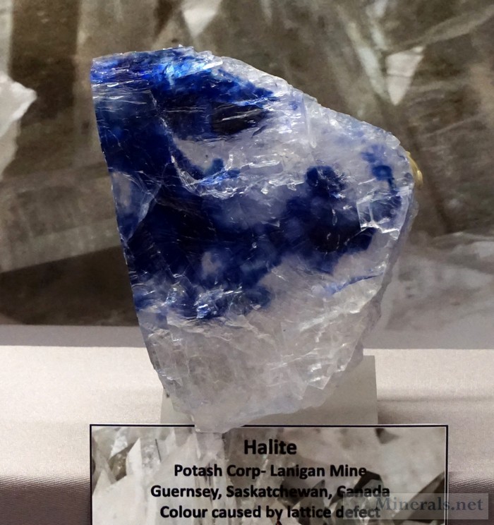 Blue Halite Potash Corp-Lanigan Mine, Guernsey, Saskatchewan, Canada Royal Ontario Museum