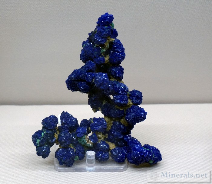 Azurite Crystal Cluster from Utah  Martin Zinn Collection