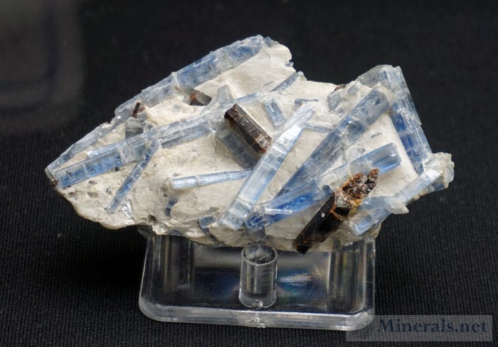 Transparent Kyanite with Staurolite from Sponda Alp, St. Gotthard, Tessin, Switzerland Mineralogical & Geological Museum at Harvard University