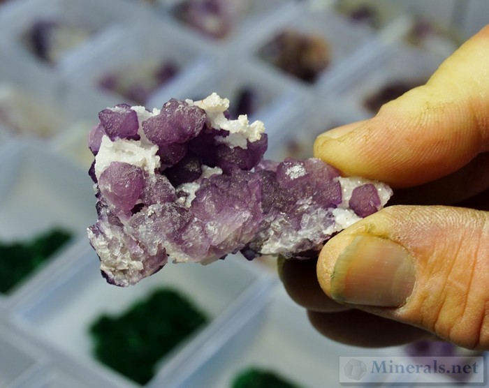 Purple Fluorite from Tombstone, Arizona