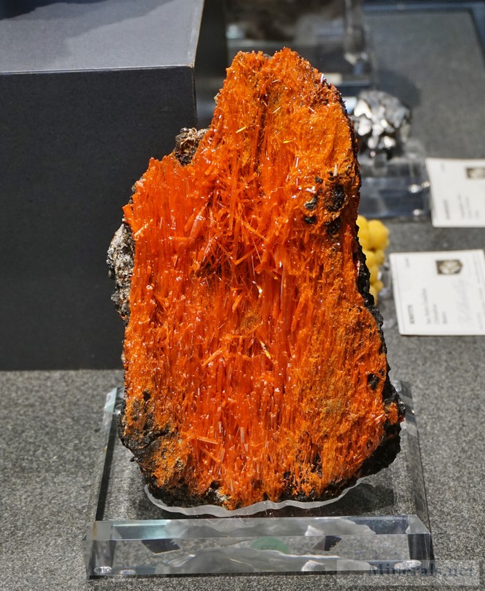Crocoite from the Red Lead Mine, Dundas, Tazmania, Australia