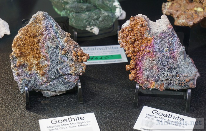 Iridescent Goethite from the Milpillas Mine, Mexico