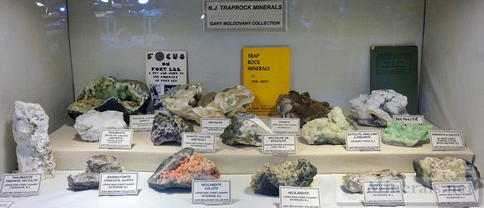 NY/NJ Edison Mineral Show Traprock Minerals from New Jersey Gary Maldovany