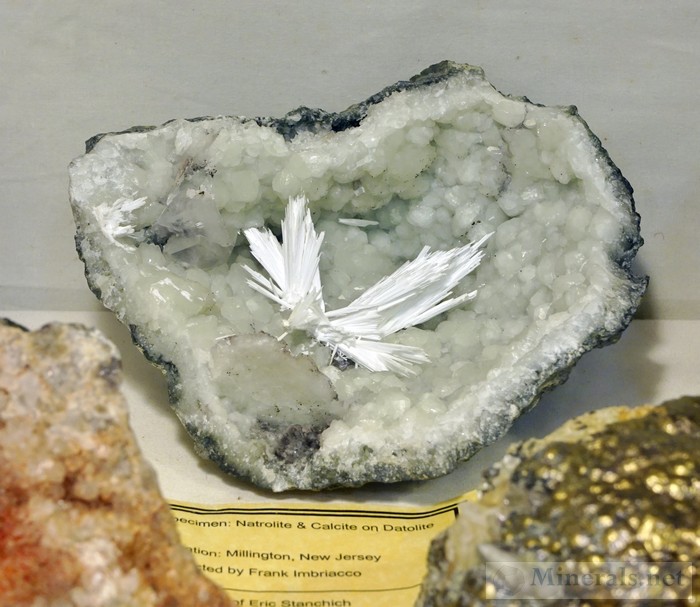 Natrolite and Calcite on Datolite from Millington, NJ