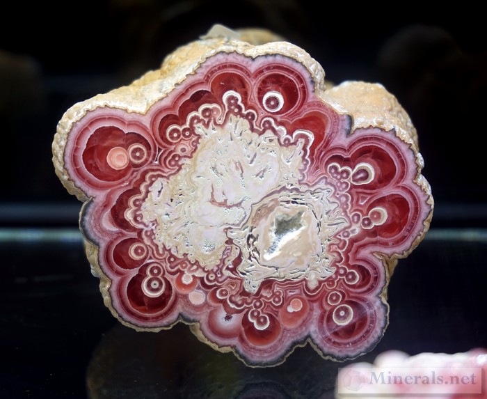 Polished Rhodochrosite Stalactite from Catamarca, Argentina, with an interesting pattern