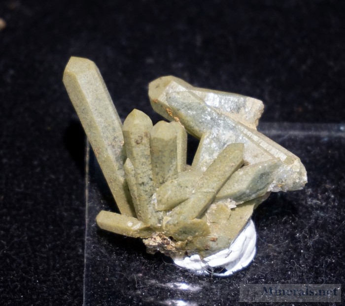 Chlorite-Included Quartz from Saratoga County, New York. Discovered by Bill Lombard