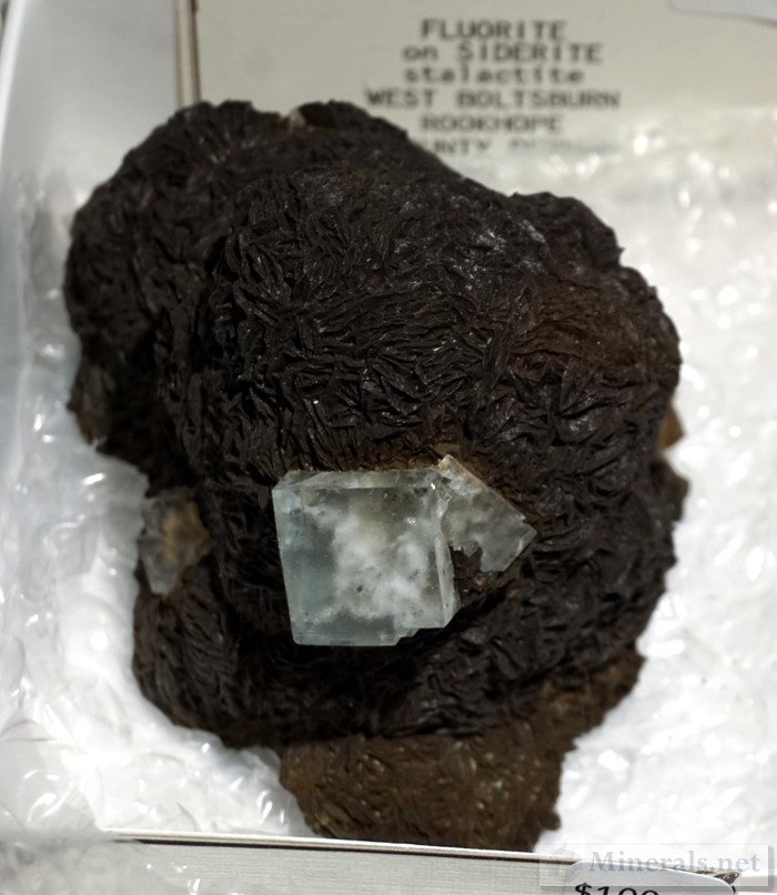 Fluorite on Siderite from West Boltsburn, Rookehope, Weardale, England