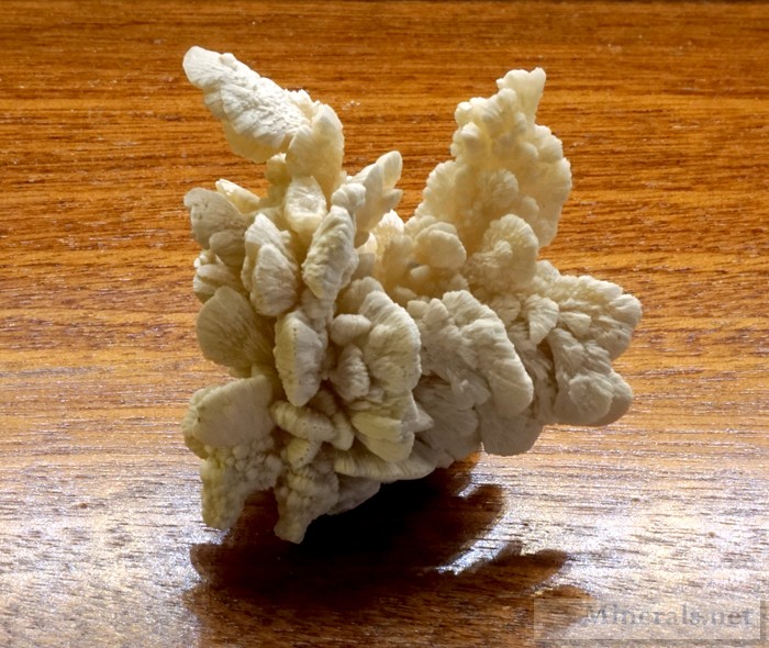 Another Style of Barite Recently Found at the Linwood Mine, Buffalo, Iowa