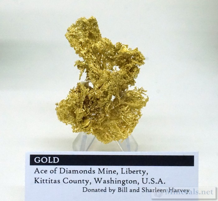 Gold from the Ace of Diamonds Mine, Liberty, WA