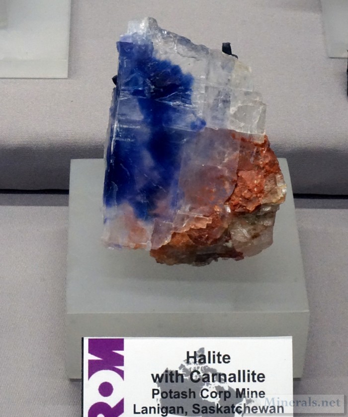 Blue Halite with Carnallite from the Potash Corp Mine, Lanigan, Sakatchewan, Canada