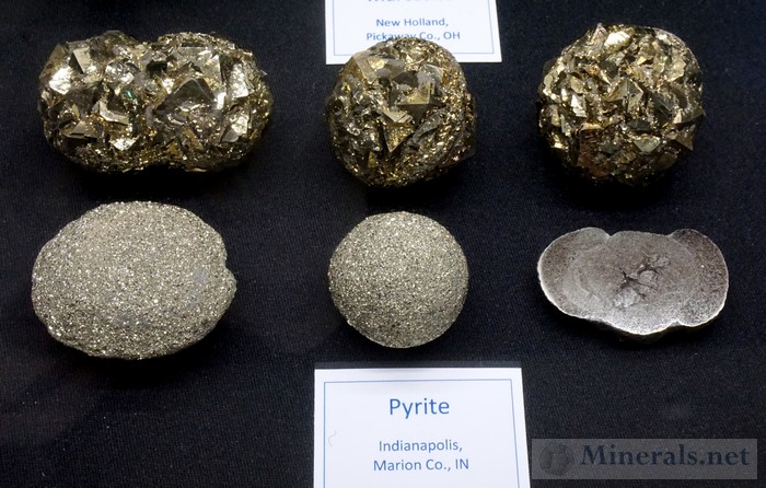 Pyrite from Indianapolis, IN Friends of Mineralogy Midwest Chapter