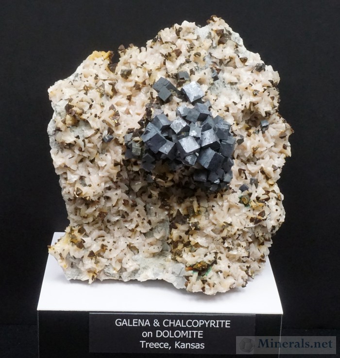 Galena and Chalcopyrite on Dolomite from Treece, KS Carnegie Museum of Natural History