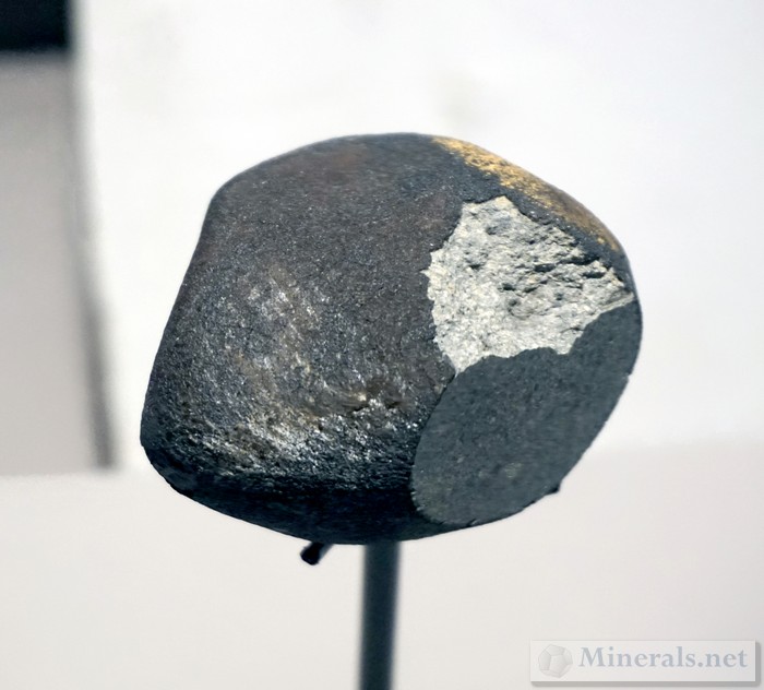 Cartersville Meteorite that fell Nearby, on Display near the Mineral Hall