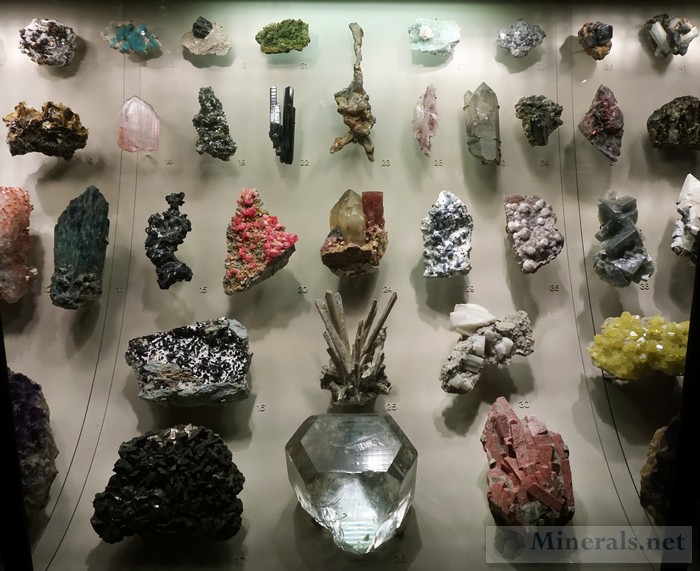 Case of Exceptional Display Minerals