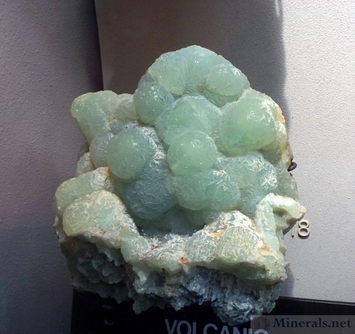 Prehnite from West Paterson, NJ