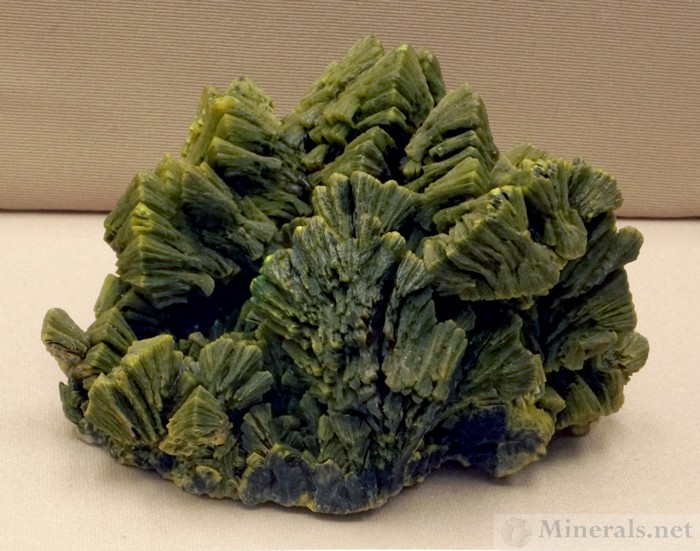 Autunite from the Daybreak Mine, Spokane Co., WA, University of Arizona Mineral Museum