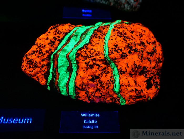 Fluorescent Willemite (Green) Vein in Calcite (Red) from the Sterling Hill Mine, Ogdensburg, NJ, Franklin Mineral Museum