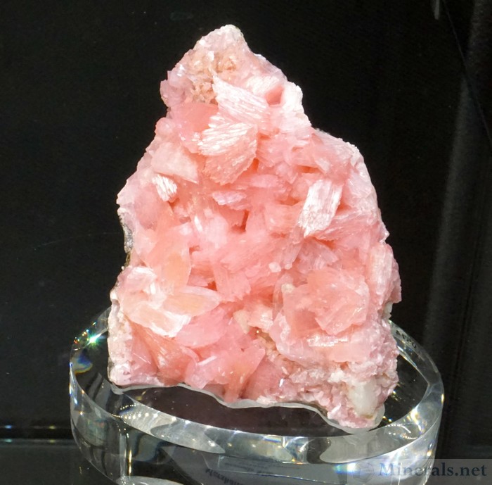 Marshallsussmanite from the Wessels Mine, Hotazel, South Africa, Weinrich Minerals Inc. (Dan Weinrich)