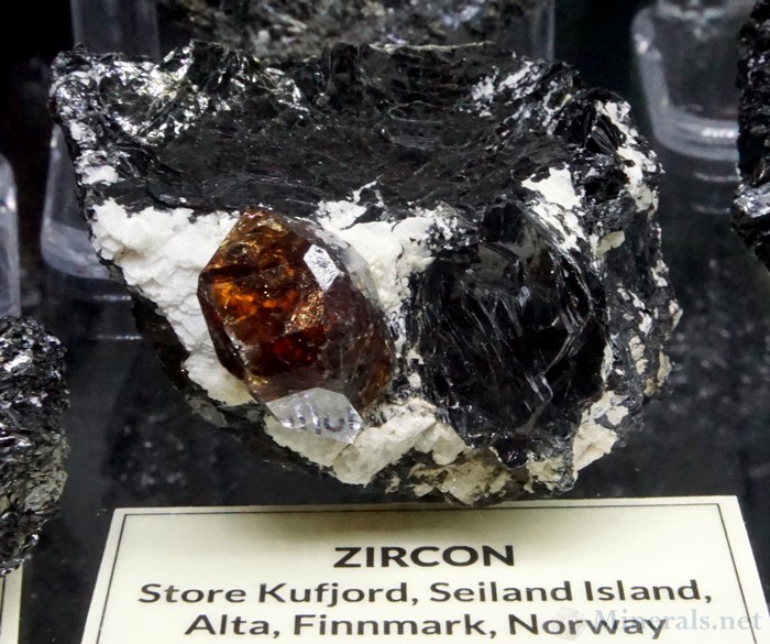 Newly Mined Zircon Crystals with Mica from Seiland, Alta, Finnmark, Norway, Spirifer Minerals